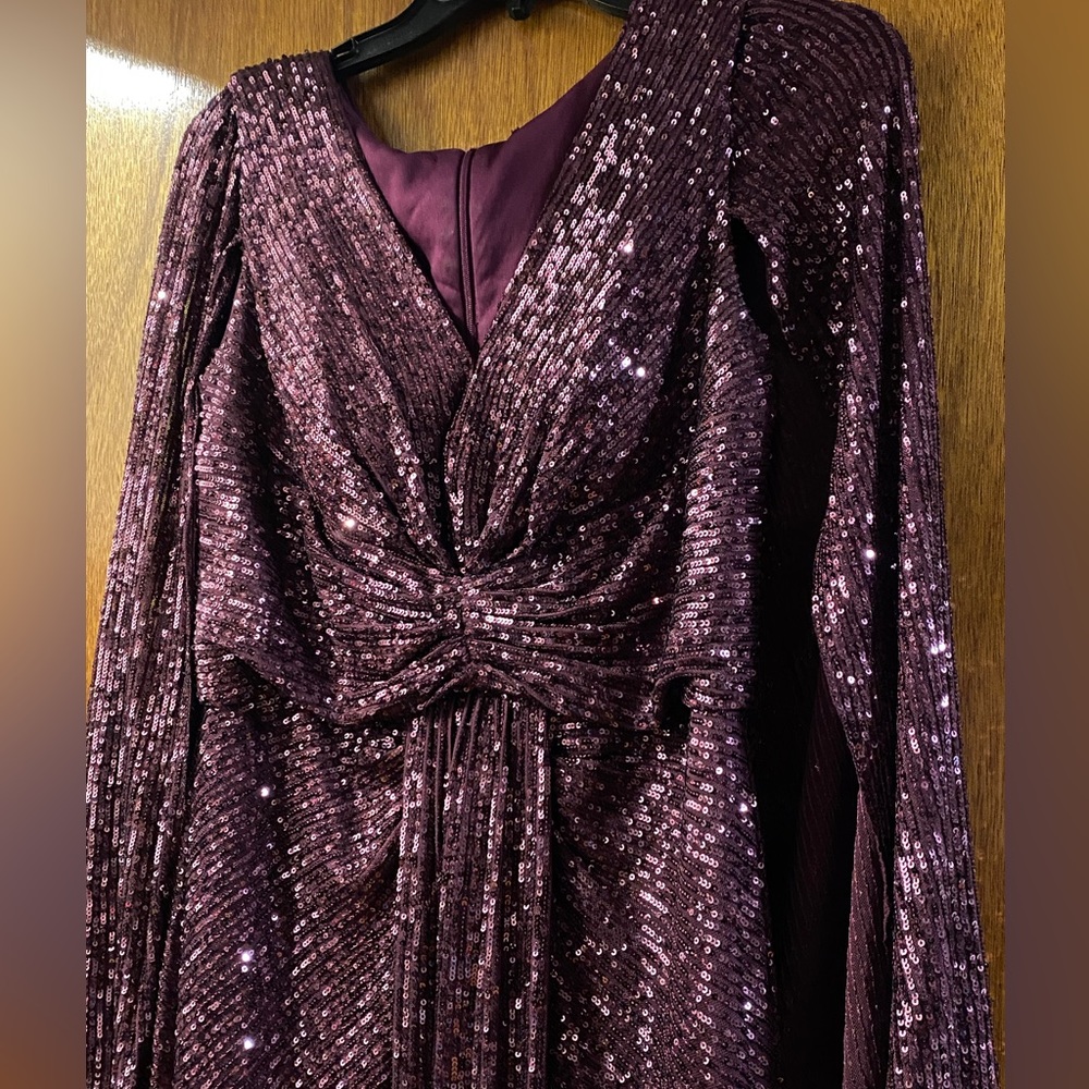 V-Neck Gown with Cape . Plum in size 6